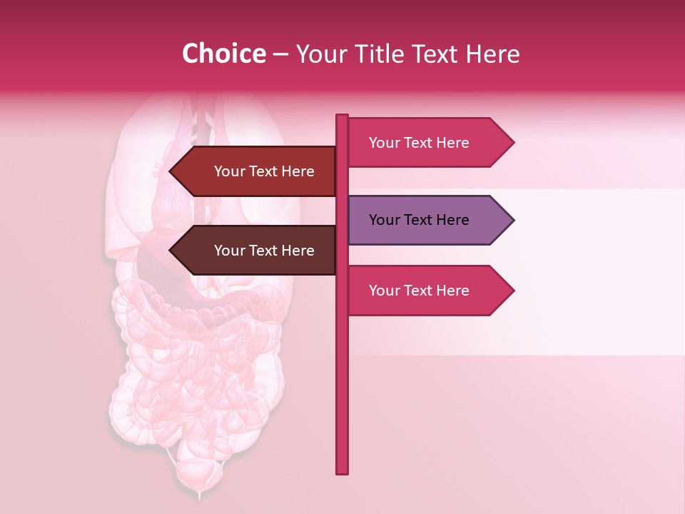 Gallbladder Belly Healthy PowerPoint Template