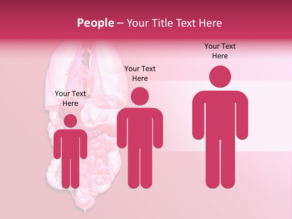 Gallbladder Belly Healthy PowerPoint Template