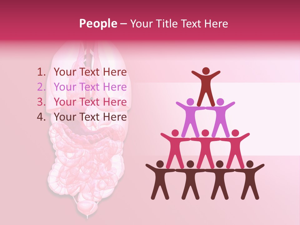 Gallbladder Belly Healthy PowerPoint Template