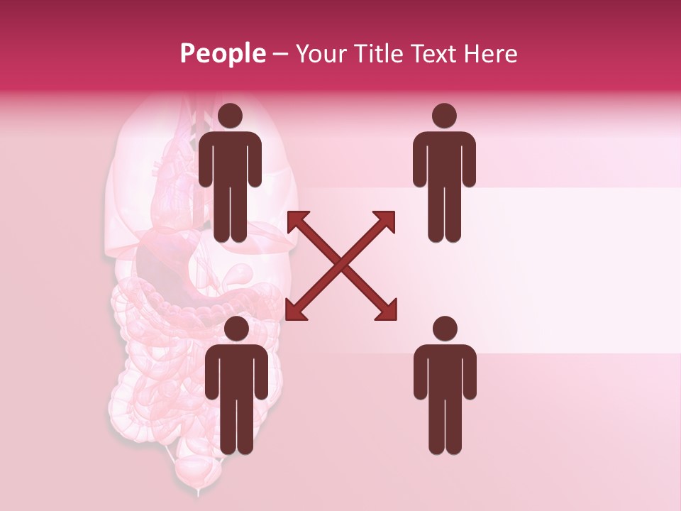 Gallbladder Belly Healthy PowerPoint Template