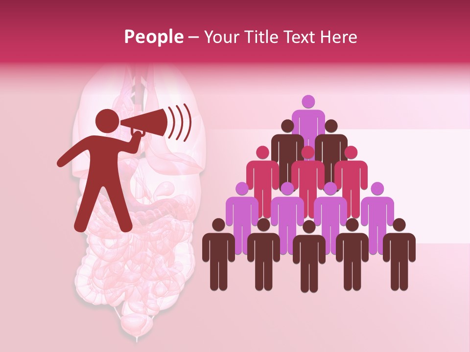 Gallbladder Belly Healthy PowerPoint Template