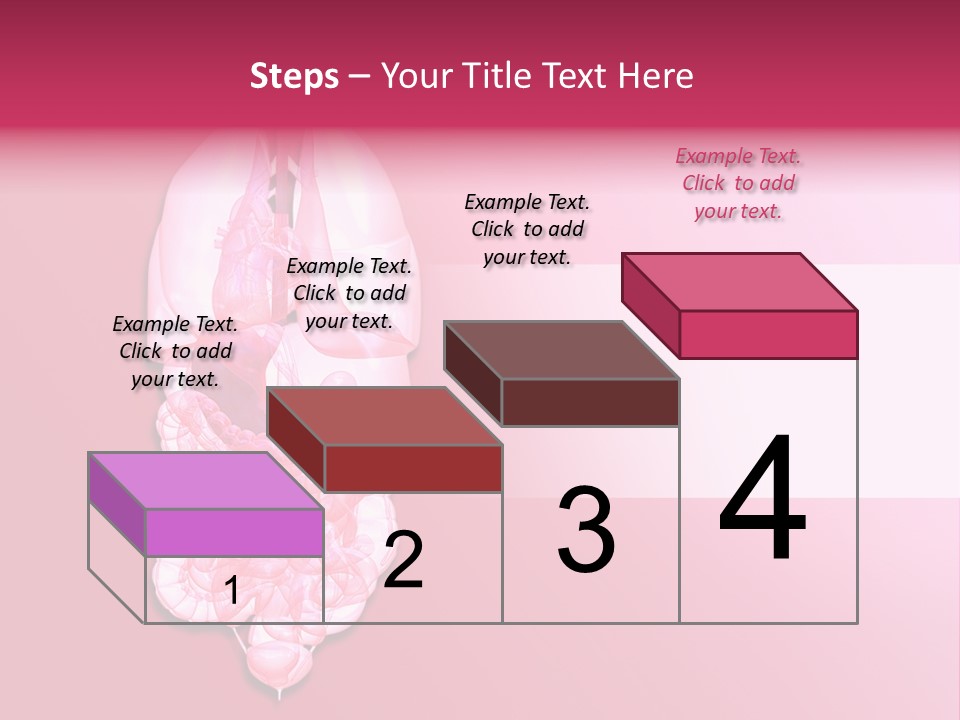 Gallbladder Belly Healthy PowerPoint Template