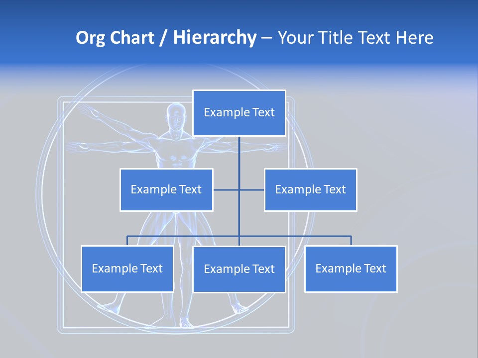 Leg Research Joint PowerPoint Template