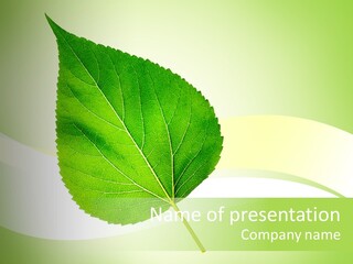 Stem Environment Gardening PowerPoint Template