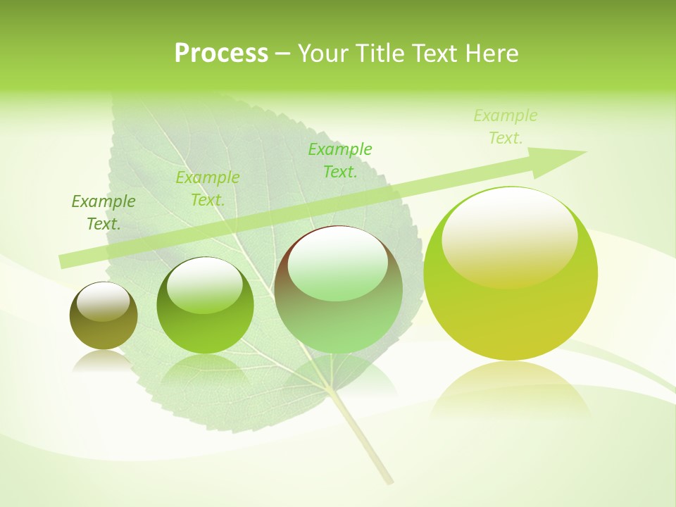Stem Environment Gardening PowerPoint Template