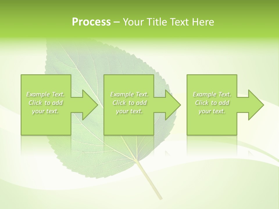 Stem Environment Gardening PowerPoint Template