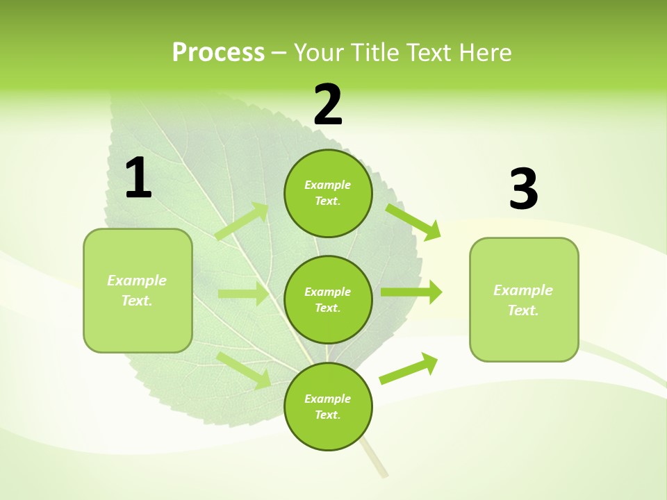 Stem Environment Gardening PowerPoint Template