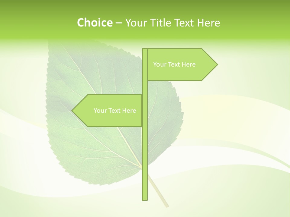 Stem Environment Gardening PowerPoint Template