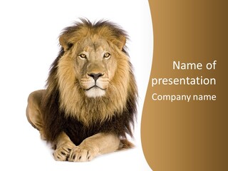 Lying Danger Animal PowerPoint Template