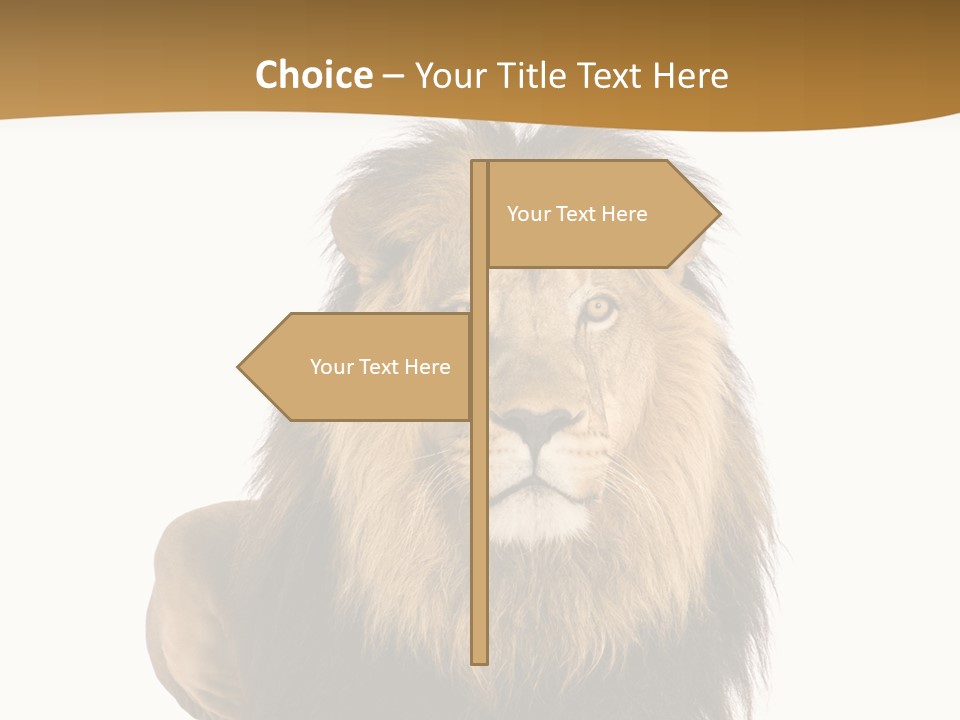 Lying Danger Animal PowerPoint Template