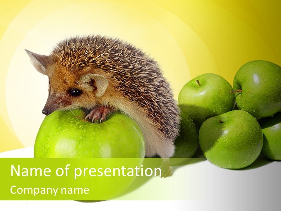 Mammal Needle Stinging PowerPoint Template