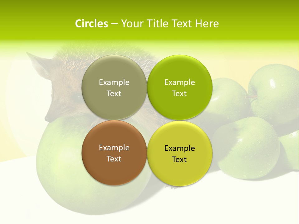 Mammal Needle Stinging PowerPoint Template