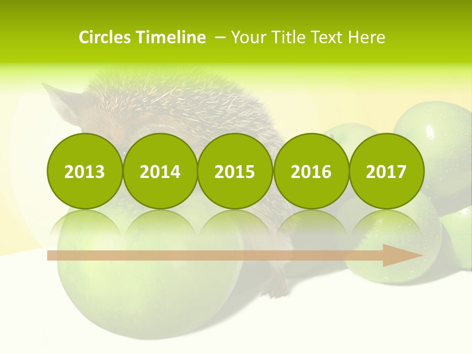 Mammal Needle Stinging PowerPoint Template