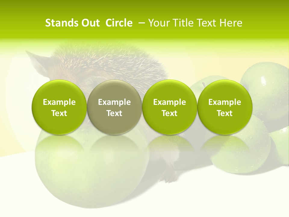 Mammal Needle Stinging PowerPoint Template
