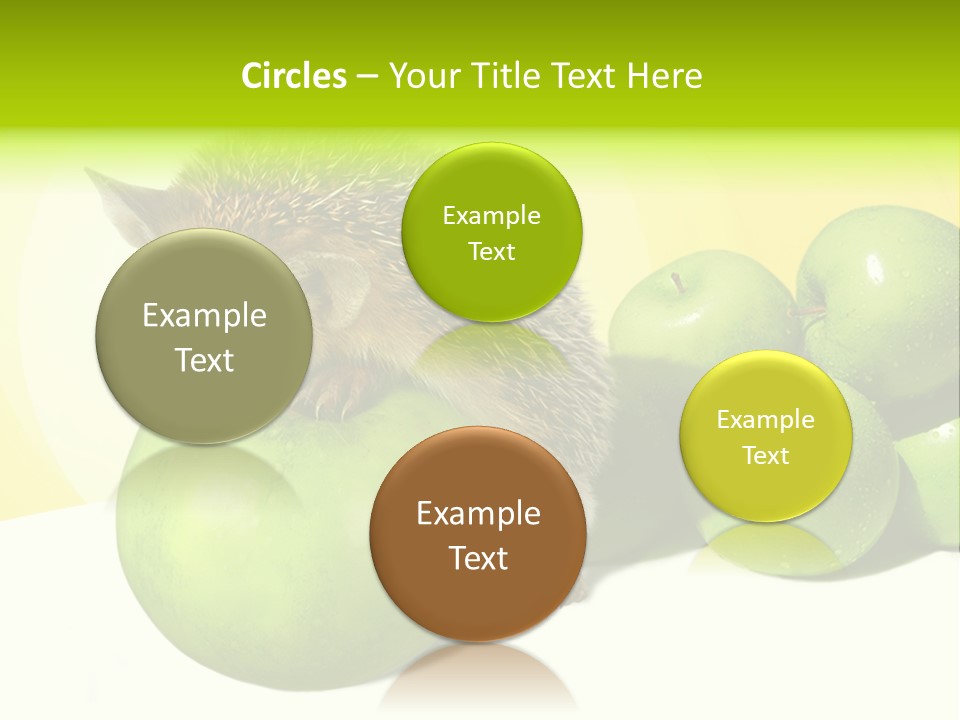 Mammal Needle Stinging PowerPoint Template