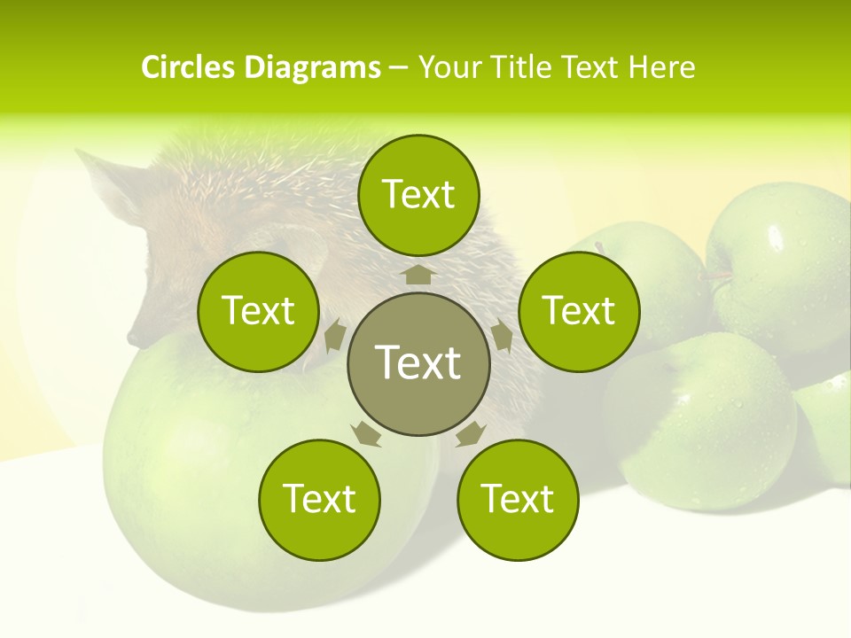 Mammal Needle Stinging PowerPoint Template