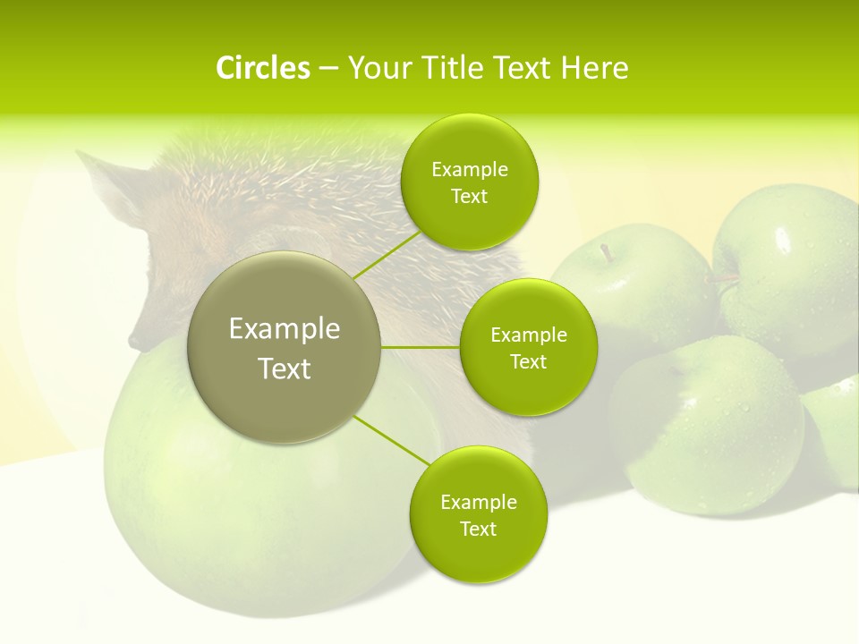 Mammal Needle Stinging PowerPoint Template