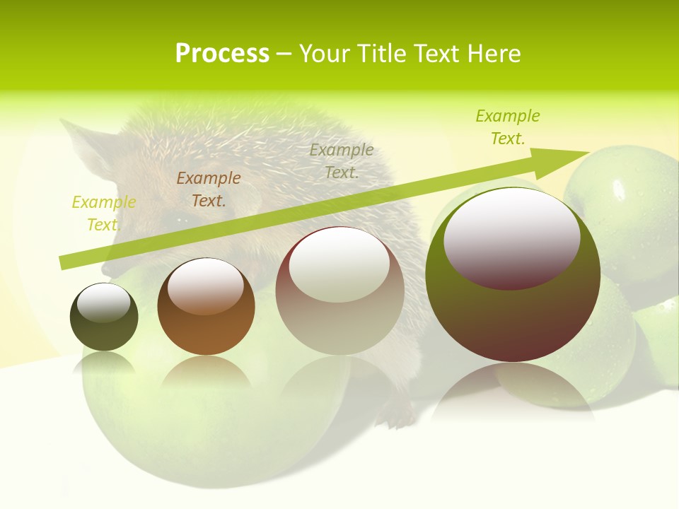 Mammal Needle Stinging PowerPoint Template
