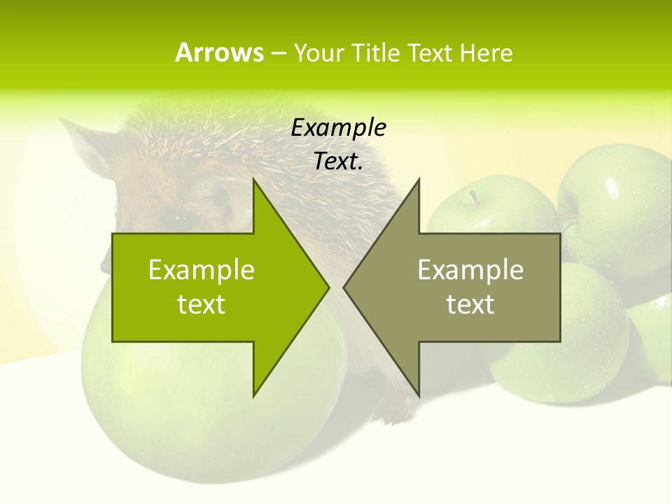 Mammal Needle Stinging PowerPoint Template