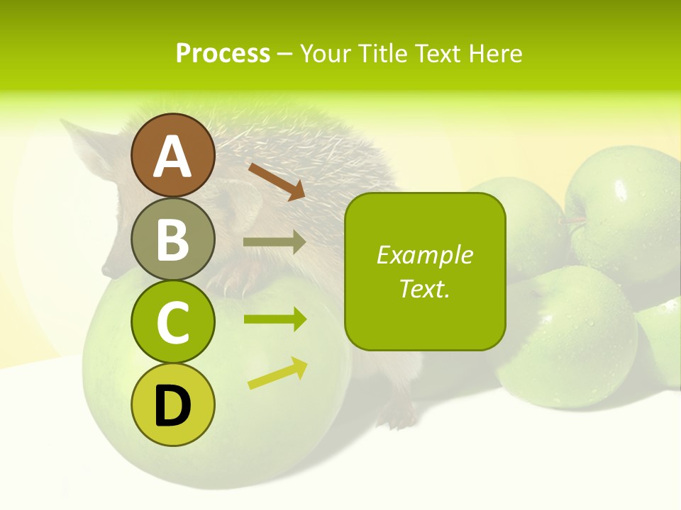 Mammal Needle Stinging PowerPoint Template
