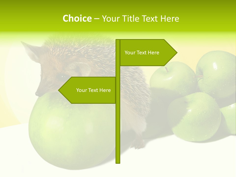 Mammal Needle Stinging PowerPoint Template