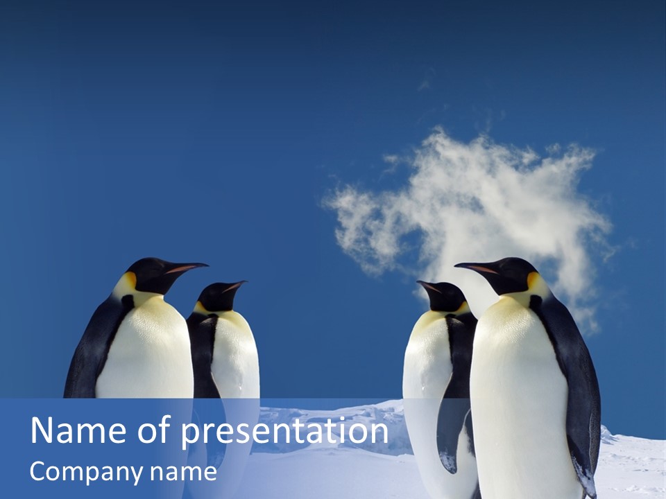 Desert Reunion Antarctica PowerPoint Template