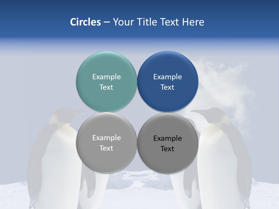 Desert Reunion Antarctica PowerPoint Template