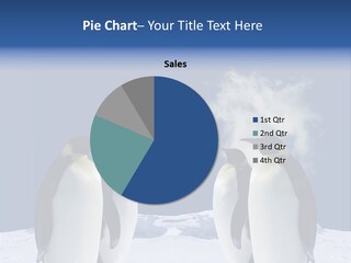 Desert Reunion Antarctica PowerPoint Template