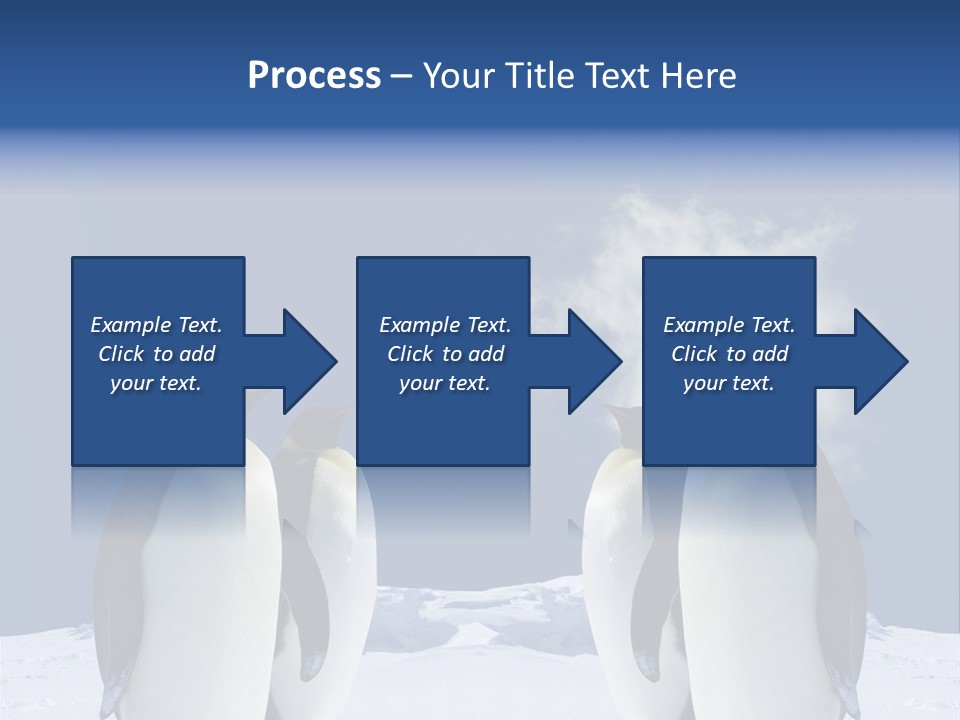 Desert Reunion Antarctica PowerPoint Template