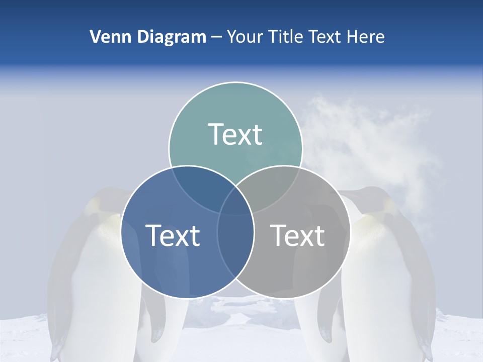 Desert Reunion Antarctica PowerPoint Template