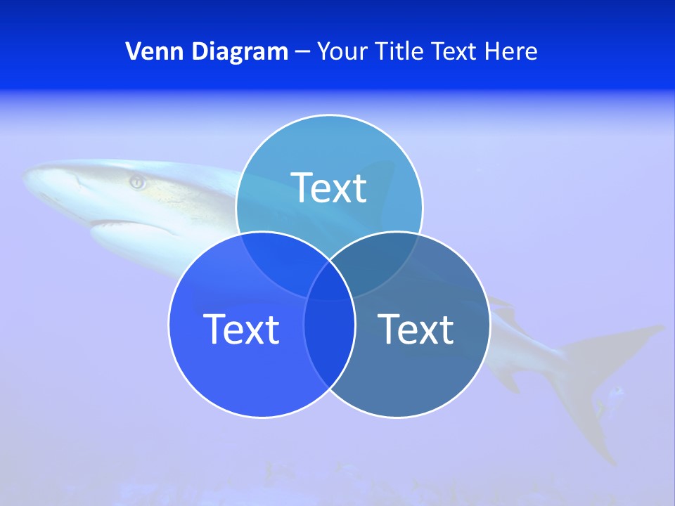 Grey Underwater Gray PowerPoint Template