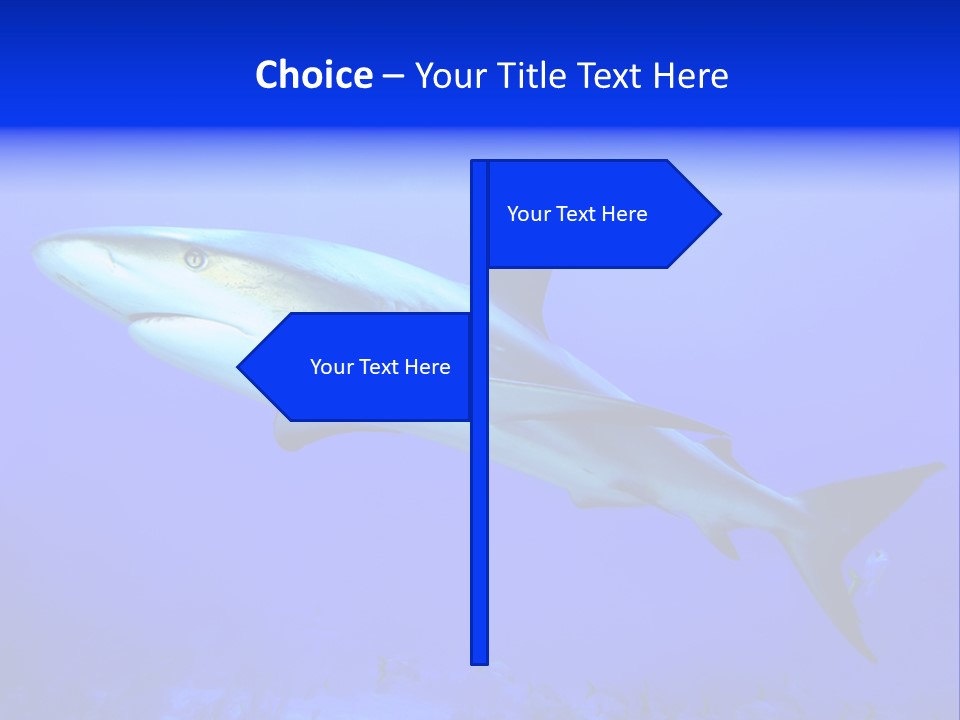 Grey Underwater Gray PowerPoint Template