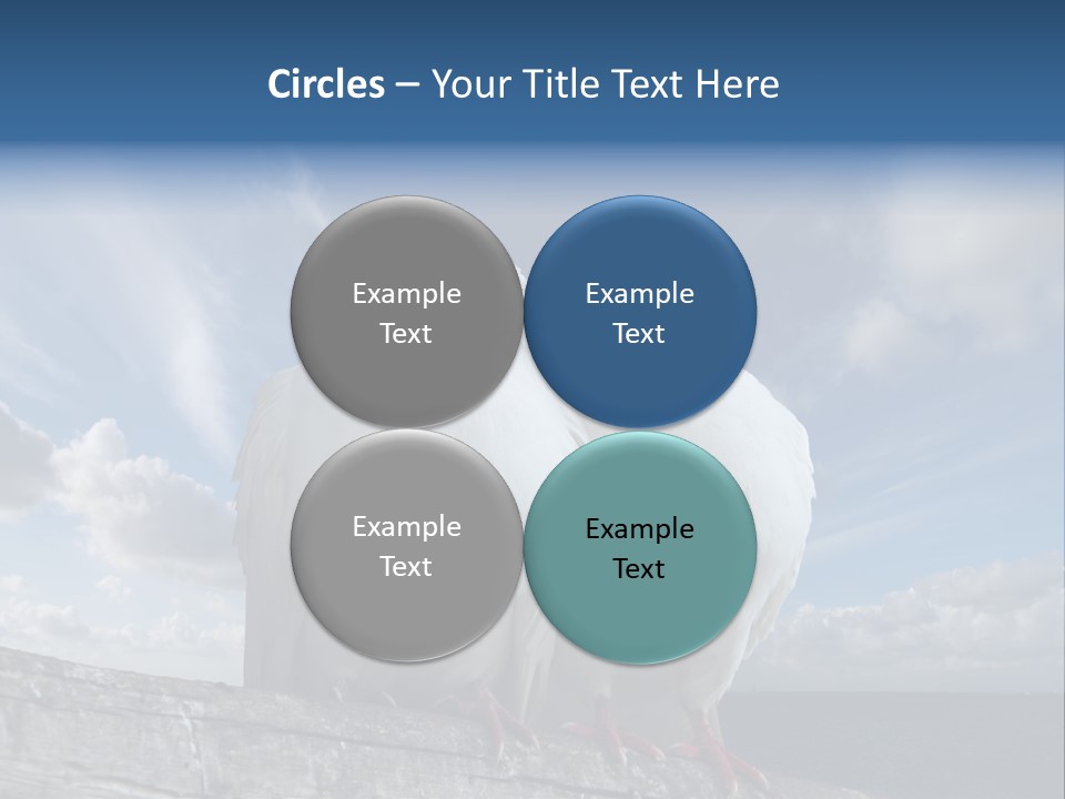 Symbol Feathers Christianity PowerPoint Template