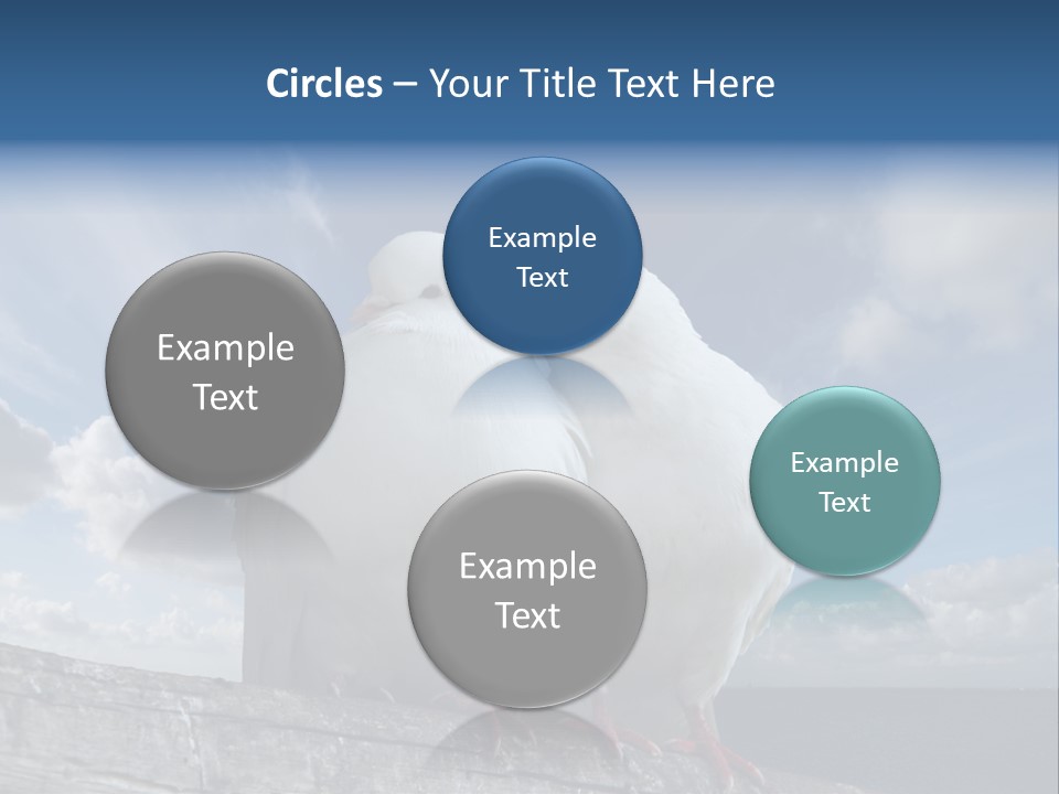 Symbol Feathers Christianity PowerPoint Template