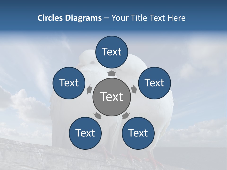 Symbol Feathers Christianity PowerPoint Template