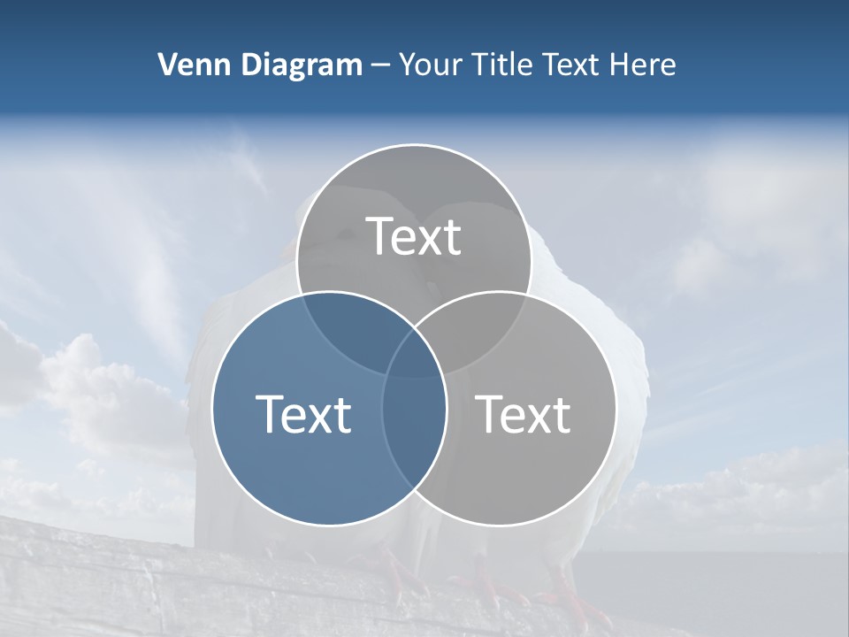 Symbol Feathers Christianity PowerPoint Template