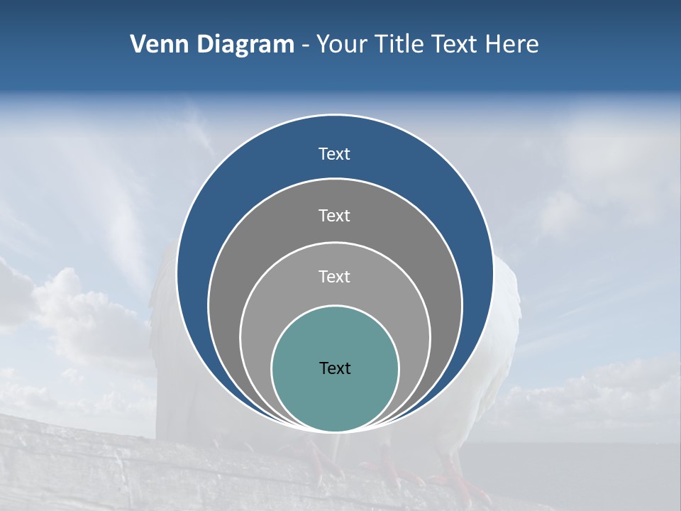 Symbol Feathers Christianity PowerPoint Template