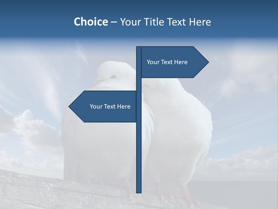 Symbol Feathers Christianity PowerPoint Template