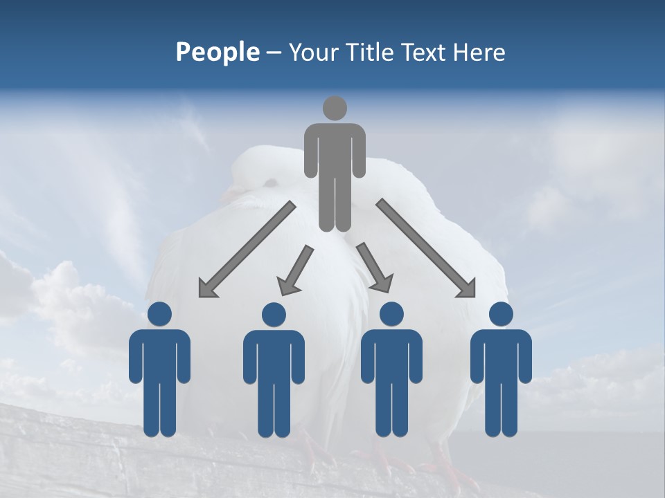 Symbol Feathers Christianity PowerPoint Template