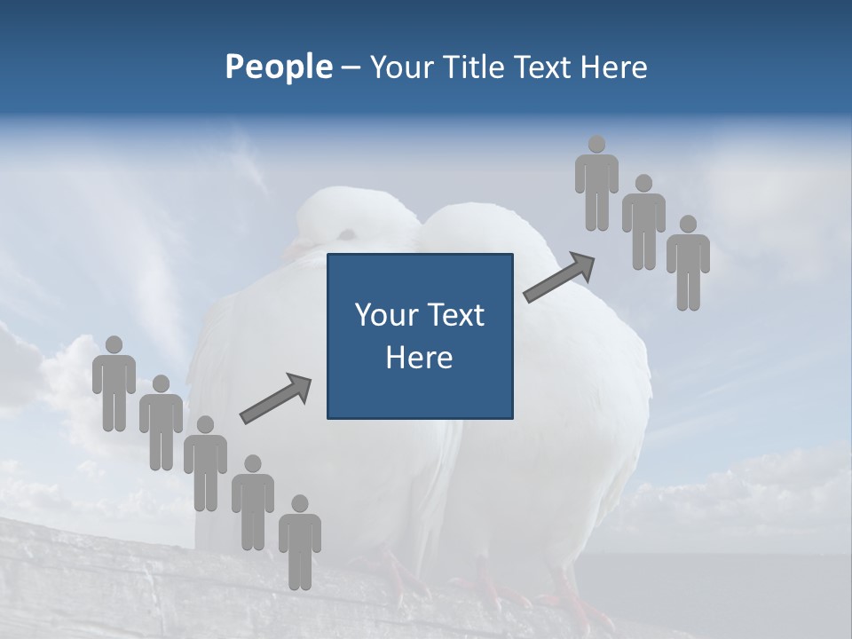 Symbol Feathers Christianity PowerPoint Template