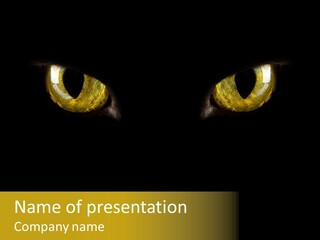 Watch Look Frightening PowerPoint Template