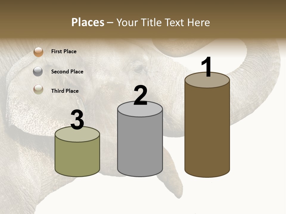 Wild Zoo Big PowerPoint Template