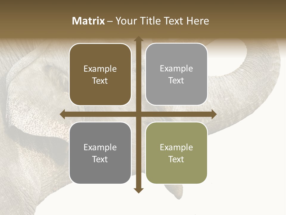 Wild Zoo Big PowerPoint Template