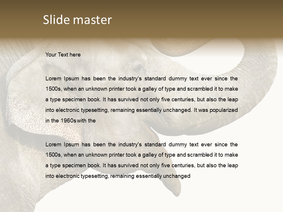 Wild Zoo Big PowerPoint Template