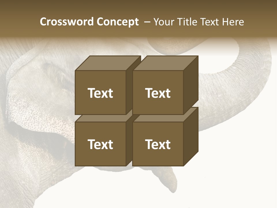 Wild Zoo Big PowerPoint Template