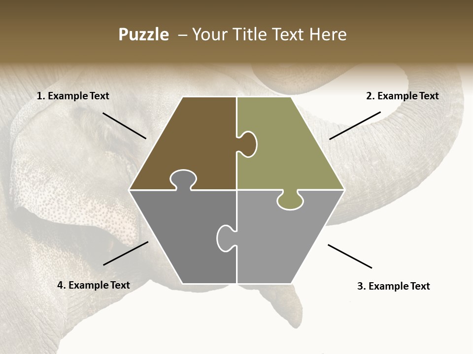 Wild Zoo Big PowerPoint Template