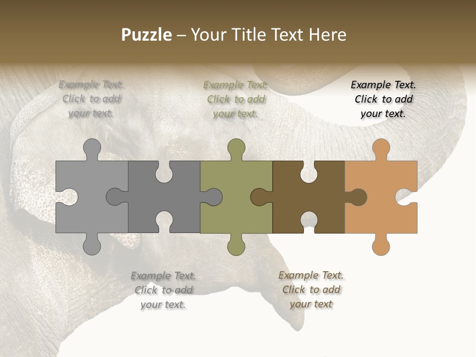 Wild Zoo Big PowerPoint Template