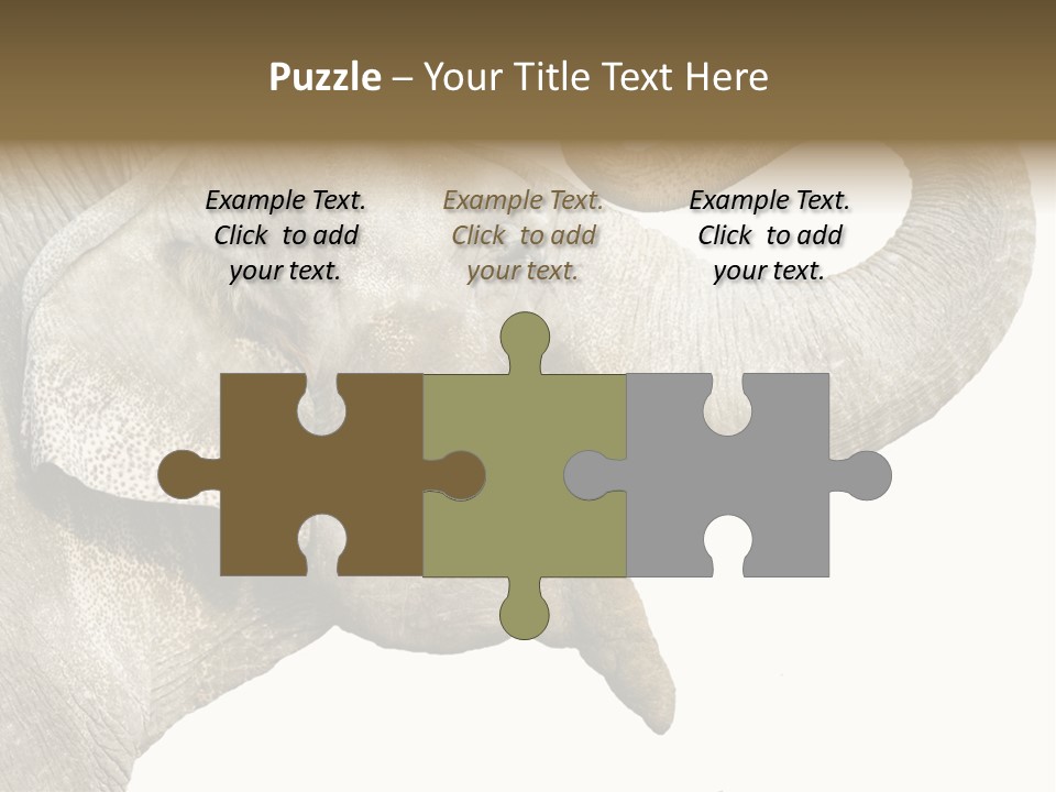 Wild Zoo Big PowerPoint Template