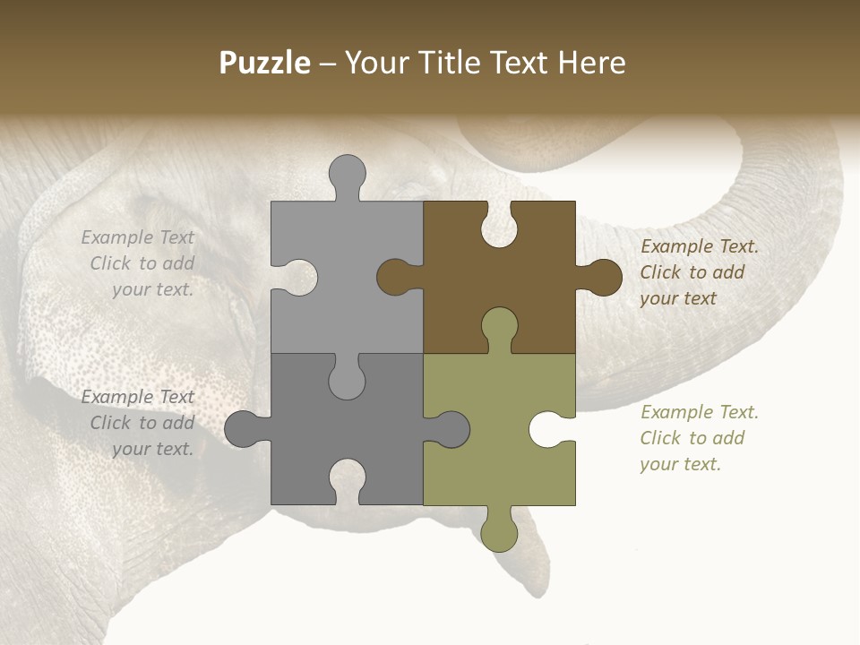 Wild Zoo Big PowerPoint Template