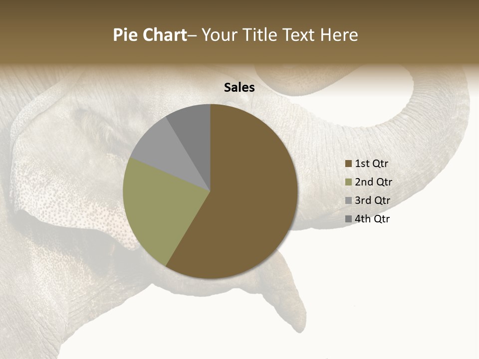 Wild Zoo Big PowerPoint Template